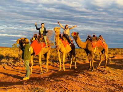 Silverton Outback Camels